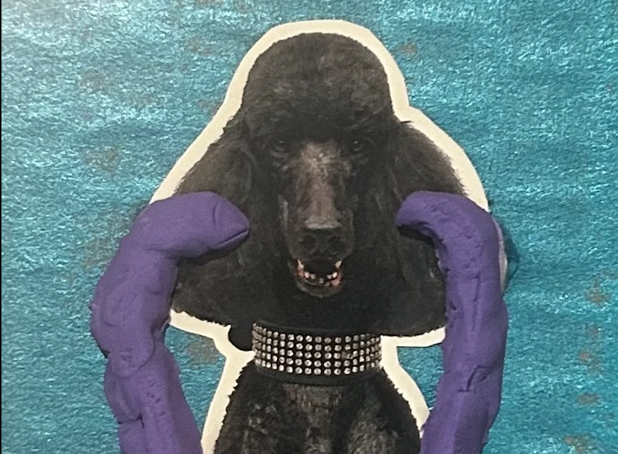 Painting of poodle